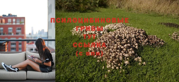 кокаин Богданович
