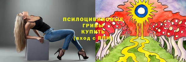 кокаин Богданович