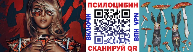 Псилоцибиновые грибы прущие грибы  дарнет шоп  Мичуринск 